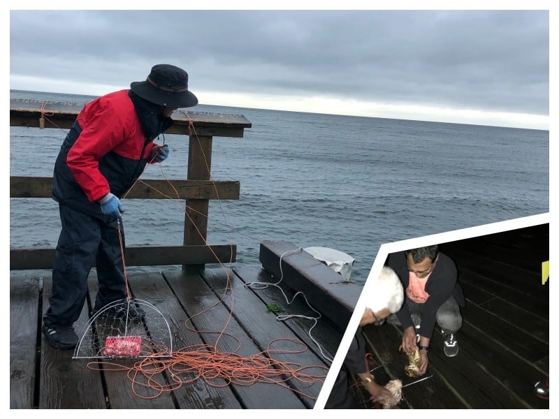 Crabbing at Sunshine Coast, Vancouver - Feroz Fernandes